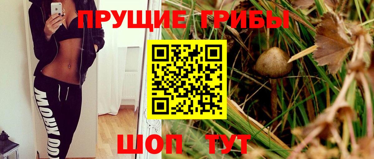 Галлюциногенные грибы Cubensis Грязи